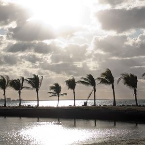 Meet your Posher, Patty